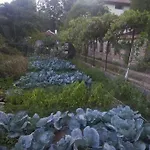 Maison d'hôtes Nasco