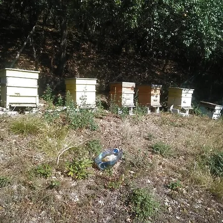 纳斯科别墅旅馆