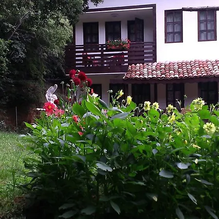 招待所 纳斯科别墅旅馆 金沙