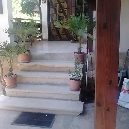 招待所 纳斯科别墅旅馆 金沙