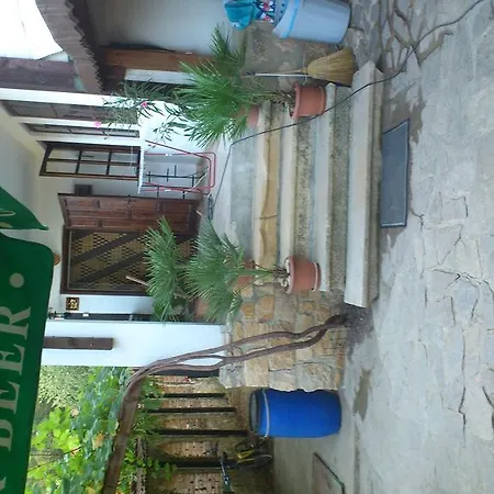 纳斯科别墅旅馆 招待所 金沙