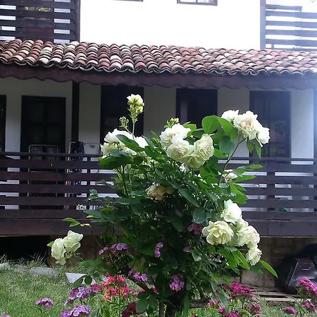 纳斯科别墅旅馆 *