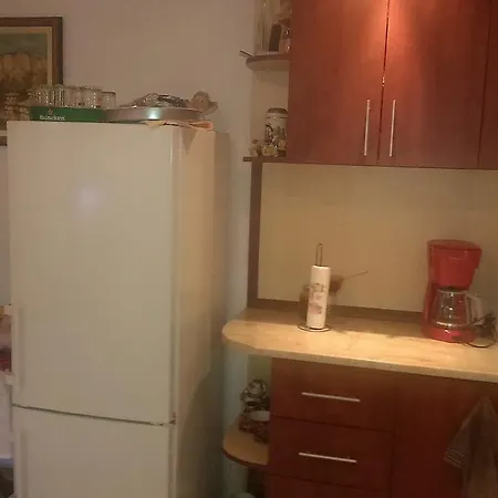 纳斯科别墅旅馆 招待所 金沙