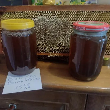 纳斯科别墅旅馆 金沙