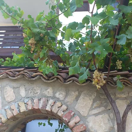 Nasco Altın Kumlar
