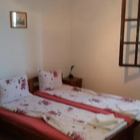 纳斯科别墅旅馆 招待所 金沙