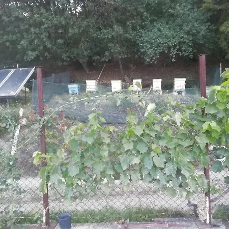 Nasco Гостевой дом *