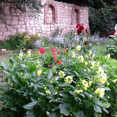 Гостевой дом Nasco