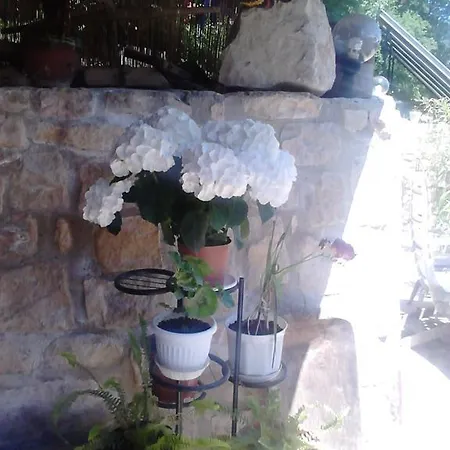 Nasco Гостевой дом *