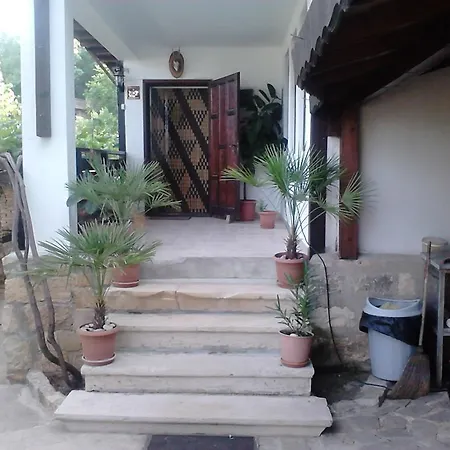 Nasco * Золотые Пески