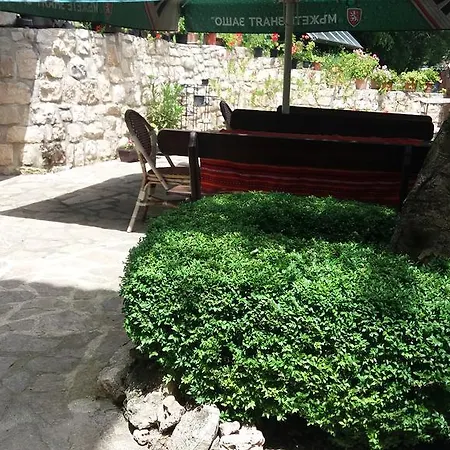 Гостевой дом Nasco Золотые Пески