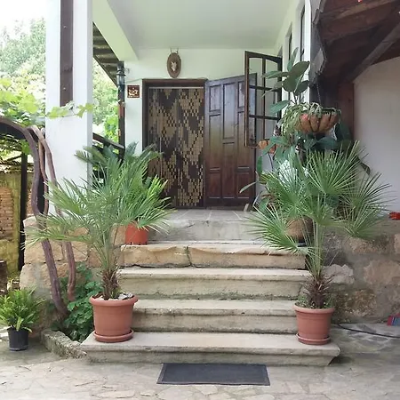 Nasco Золотые Пески