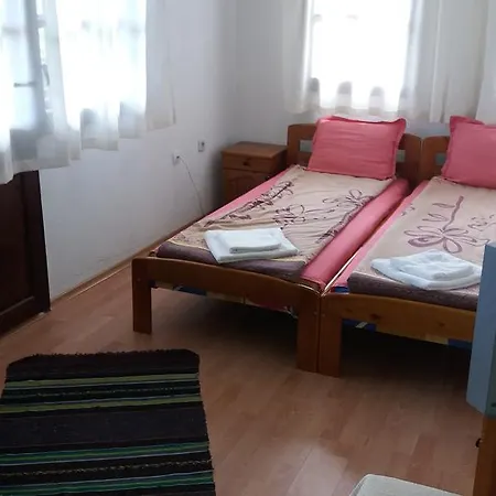 Nasco * Золотые Пески