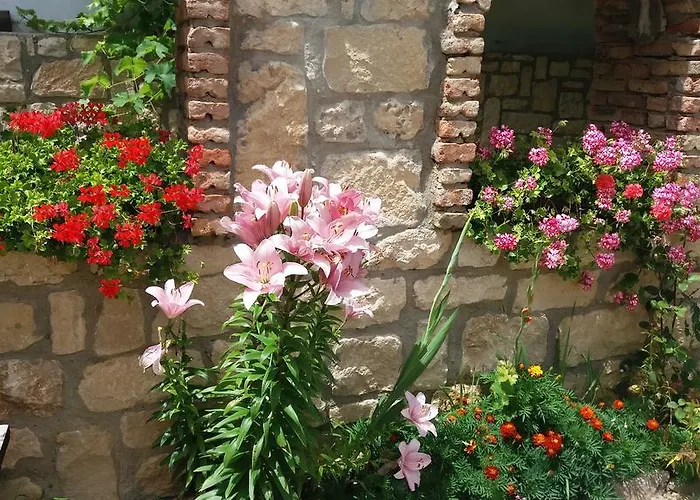 Vendégház Nasco Aranyhomok